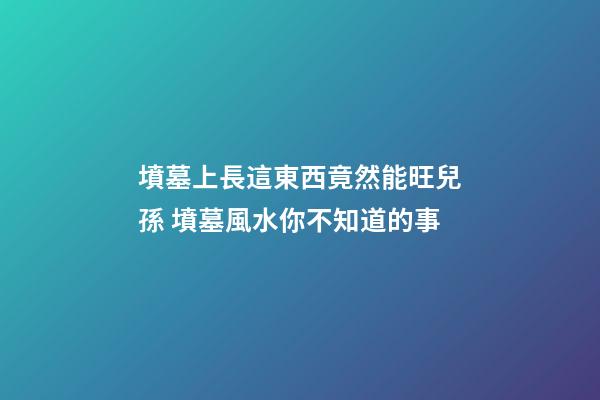 墳墓上長這東西竟然能旺兒孫 墳墓風水你不知道的事